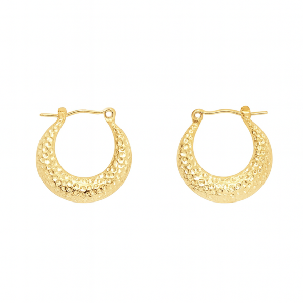 TG3852 TOG Tg3852-Stainless steel creole earrings - Image 1