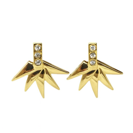 Tg1605-Gold plated earrings